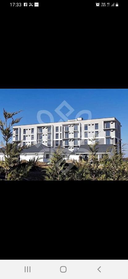 Apartament 2 Camere Lucian Baile Felix Bagian luar foto